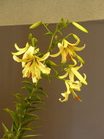 Foto: Dr. Peter Müller